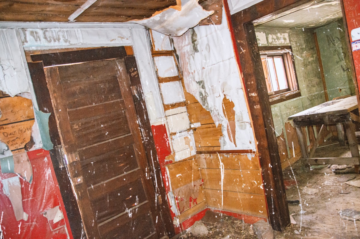 Flood Cleanup service in Flagstaff, AZ