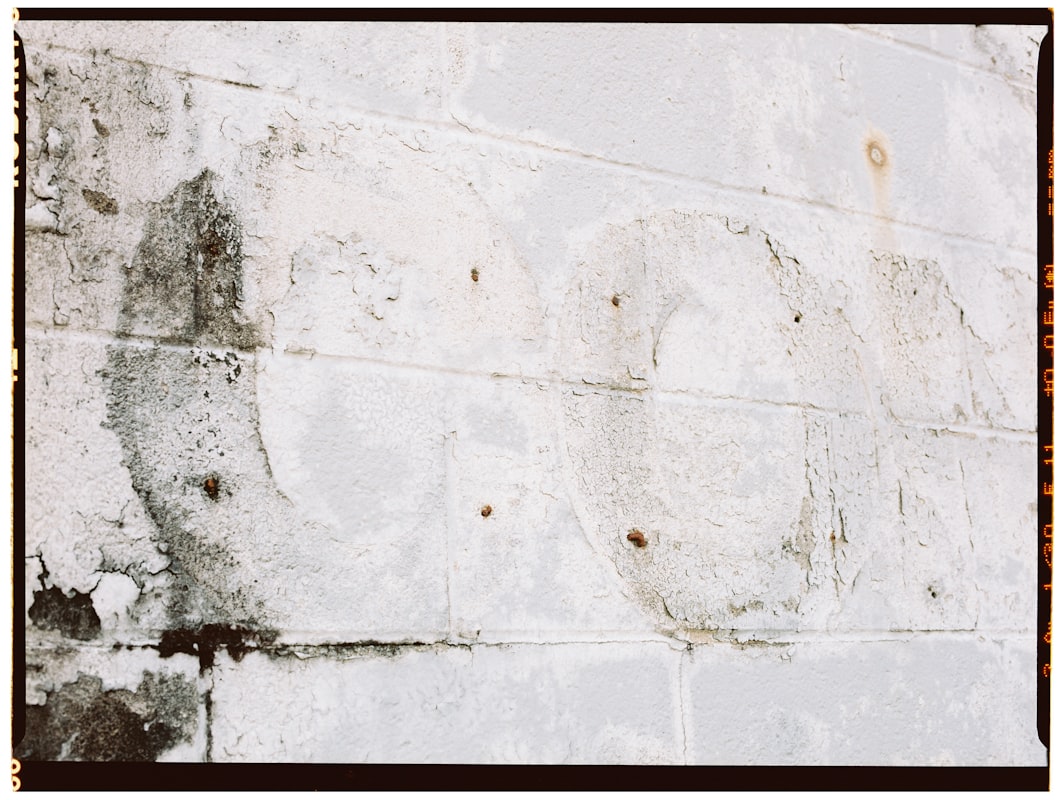 Commercial Water Damage service in Flagstaff, AZ