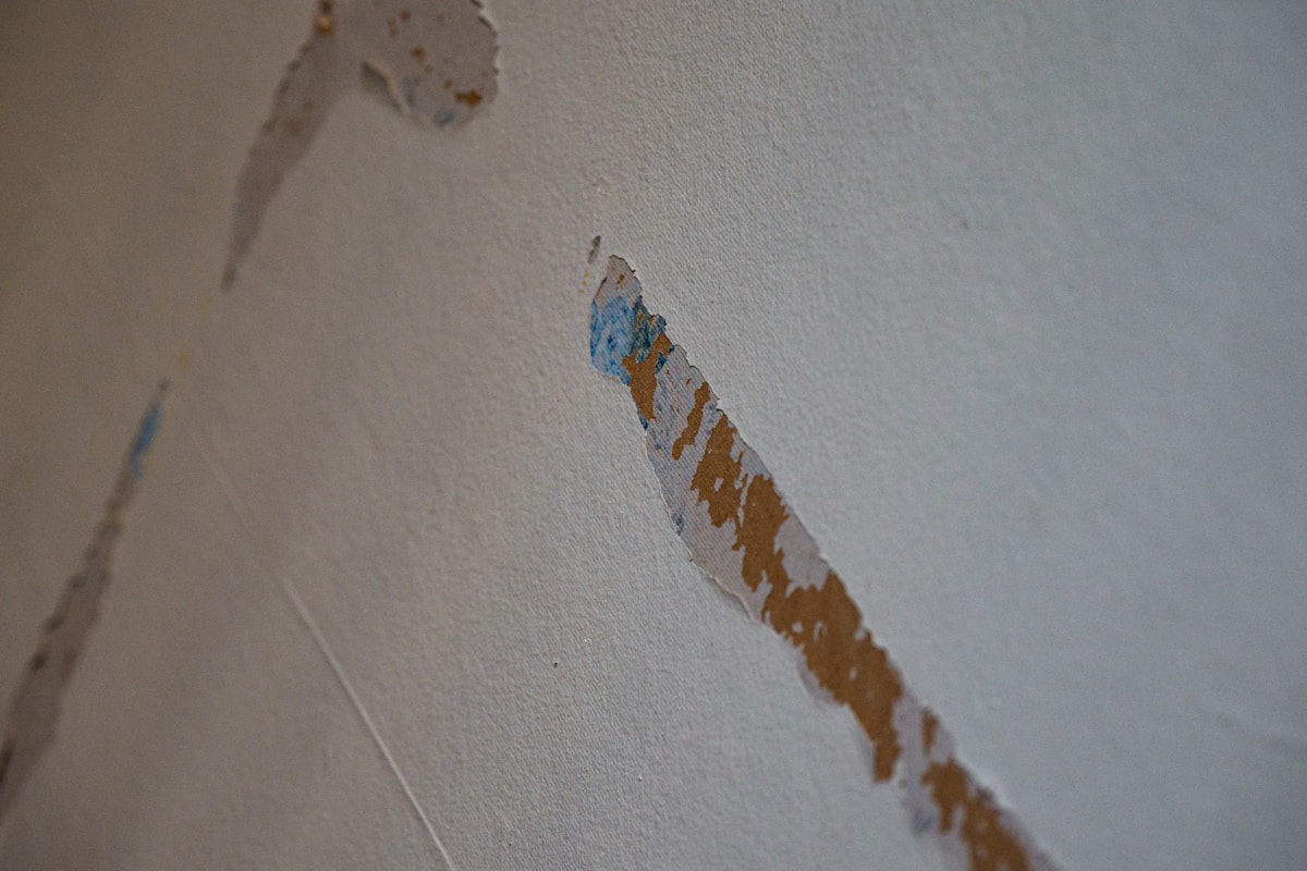 Water Extraction service in Flagstaff, AZ